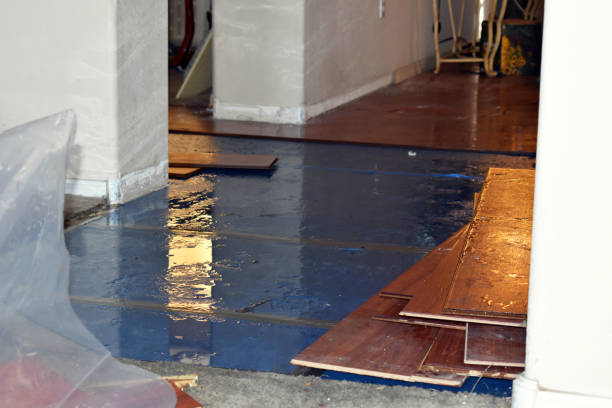 Professional Water Extraction technician working in Clearlake, CA